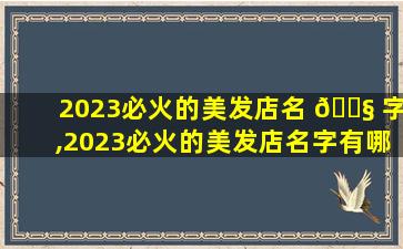 2023必火的美发店名 🐧 字,2023必火的美发店名字有哪些